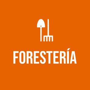 Forestería